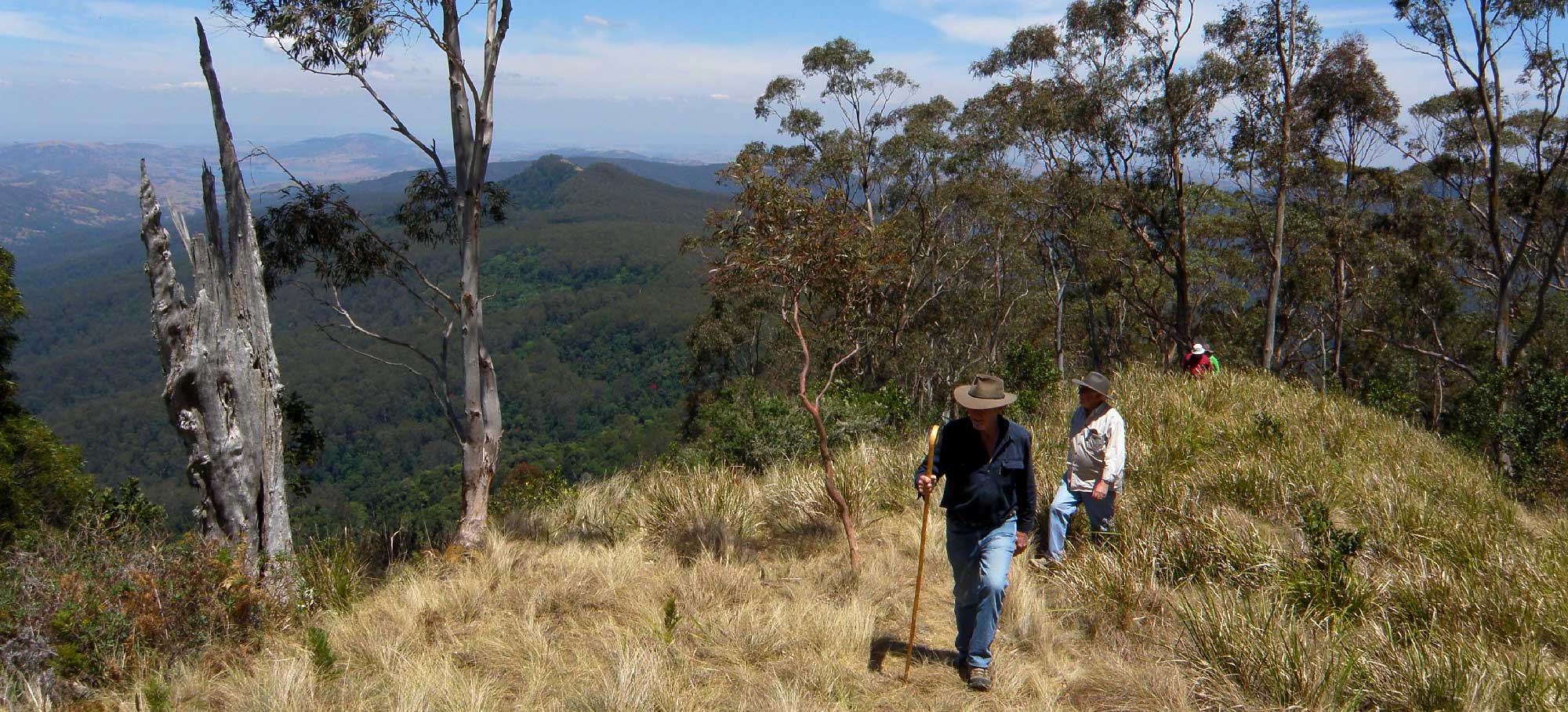 hunter region bushwalks