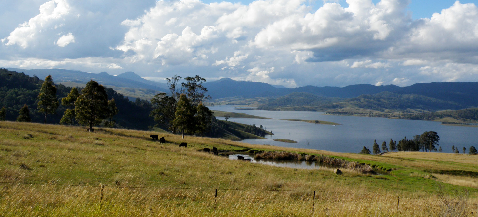 hunter region bushwalks