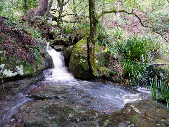 mount royal bunkhouse stream