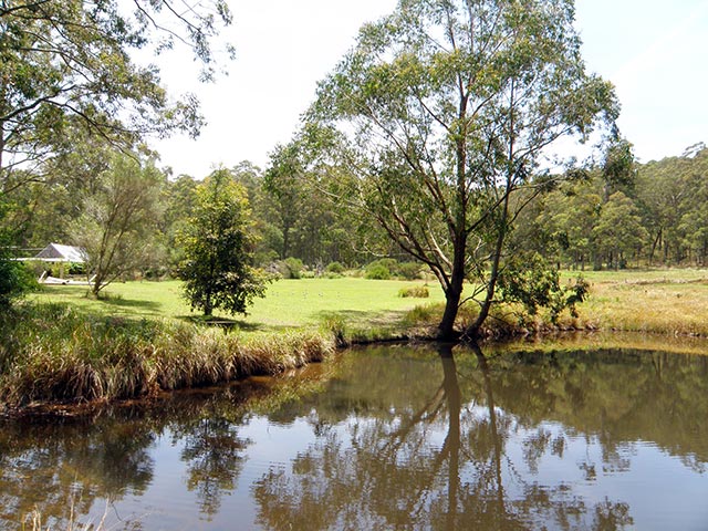 bush camping area