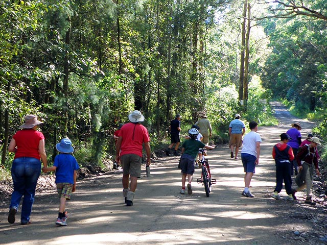 camping group activities