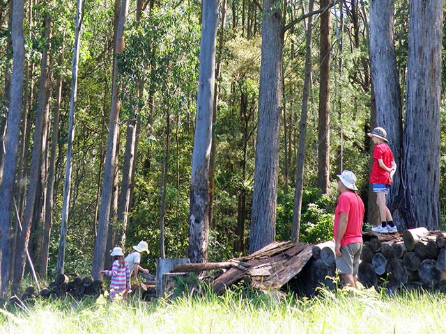 family camping