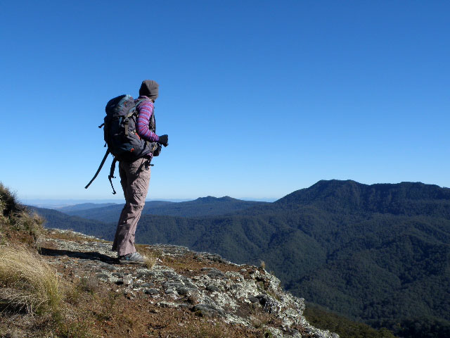 bushwalks mount royal