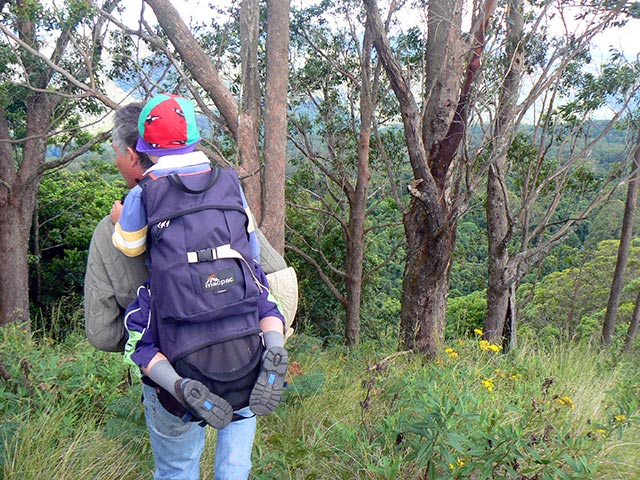 bushwalks for families