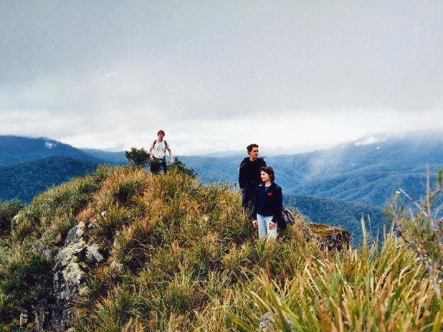 bushwalks mount royal