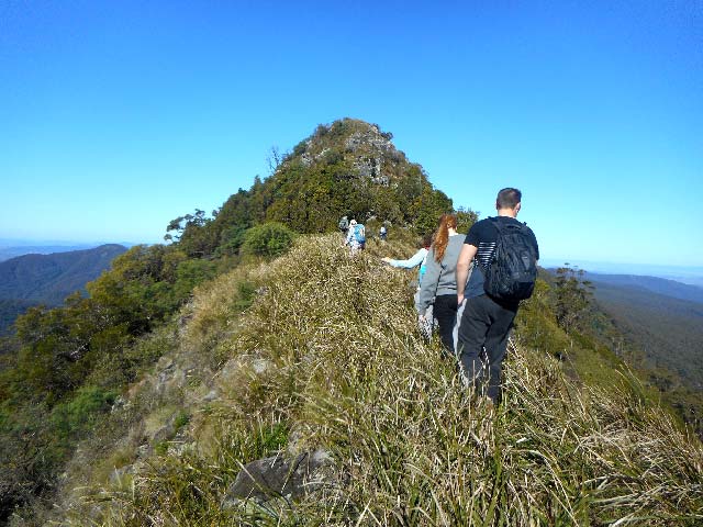 bushwalks mount royal