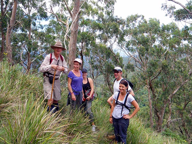 guided bushwalks