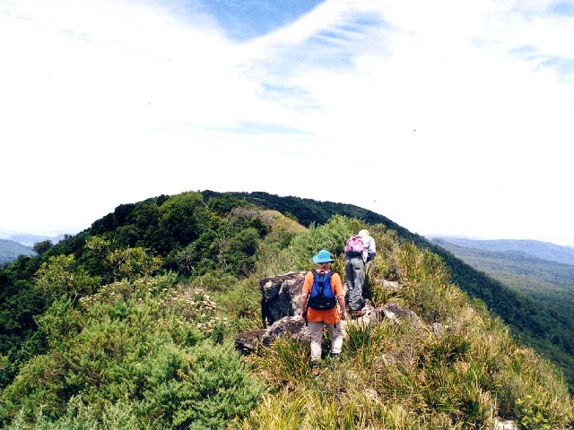 hunter region bushwalks