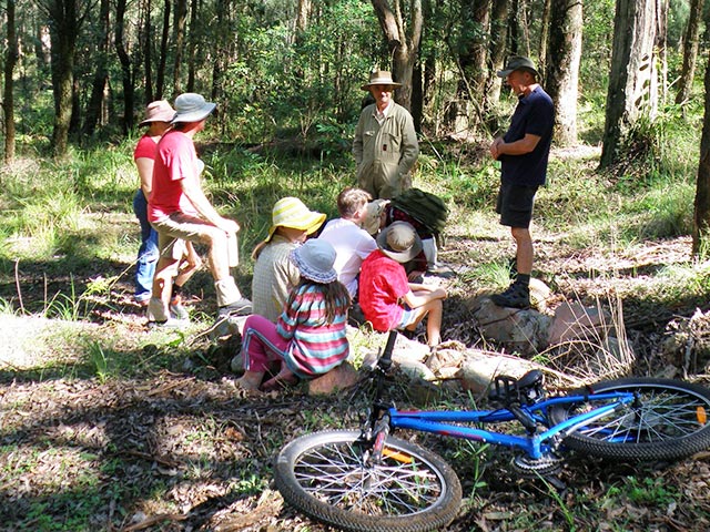 callicoma hill family holidays