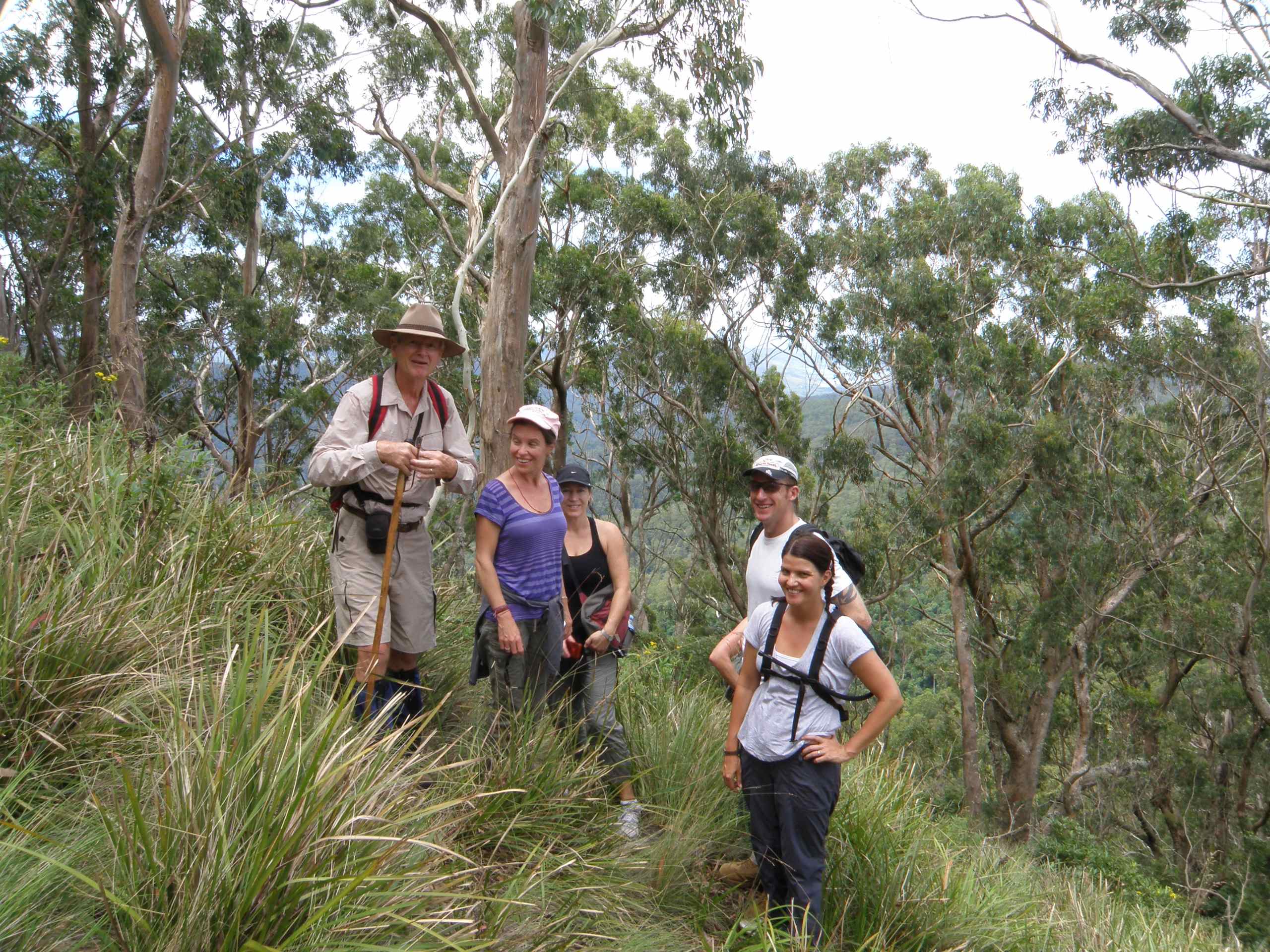 Bushwalkers in Mount Royal National Park